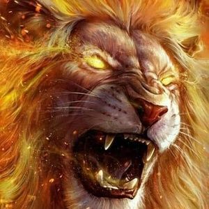 Meet your Posher, Jackson